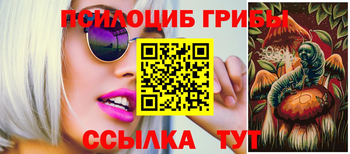 Галлюциногенные грибы Psilocybe  Вход с VPN  Кировск 