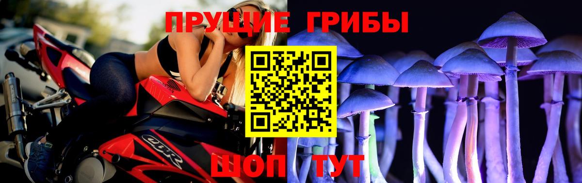 Псилоцибиновые грибы MAGIC MUSHROOMS Кировск